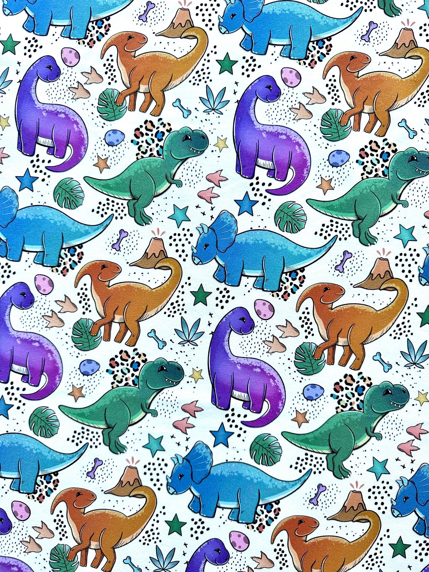 Cute dinos- Raglan T-Shirt